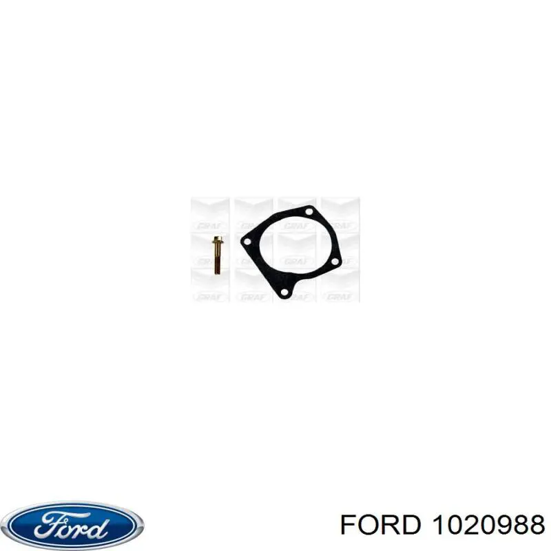 1020988 Ford bomba de agua