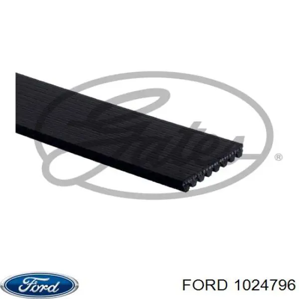 1024796 Ford paragolpes delantero