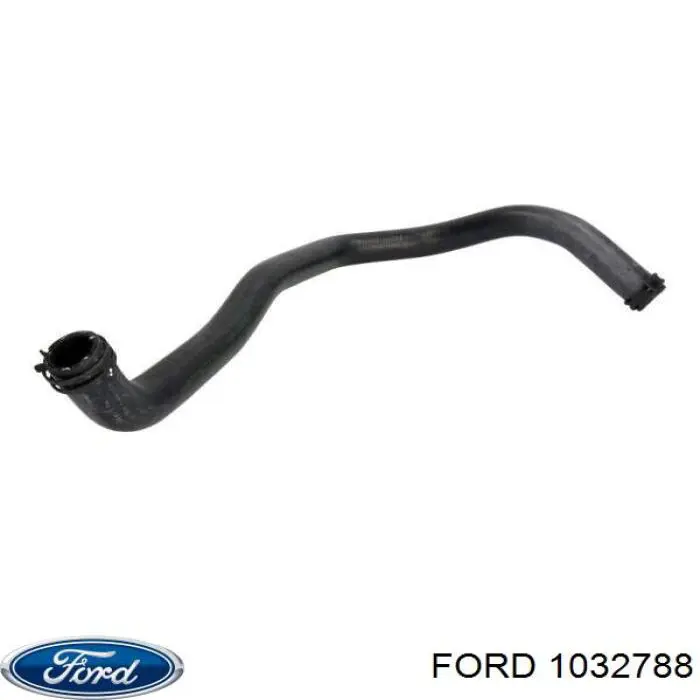 1032788 Ford