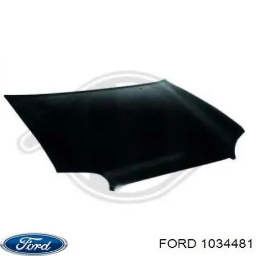 1034481 Ford capó