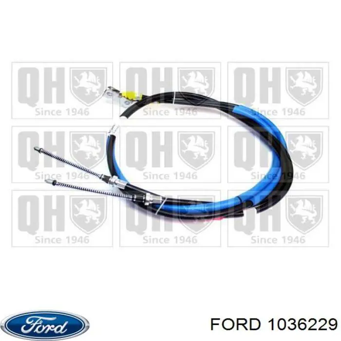 1010351 Ford cable de freno de mano trasero derecho/izquierdo