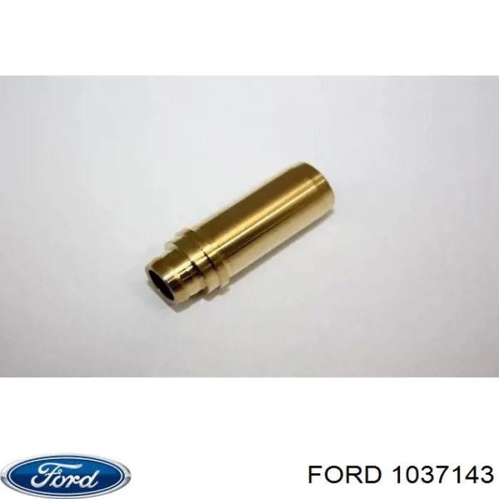 1037143 Ford guía de válvula