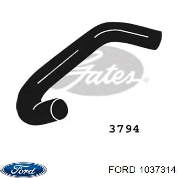 1037314 Ford manguera refrigerante para radiador inferiora
