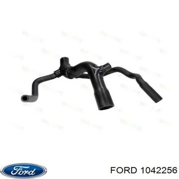 97BB8286CC Ford manguera refrigerante para radiador inferiora