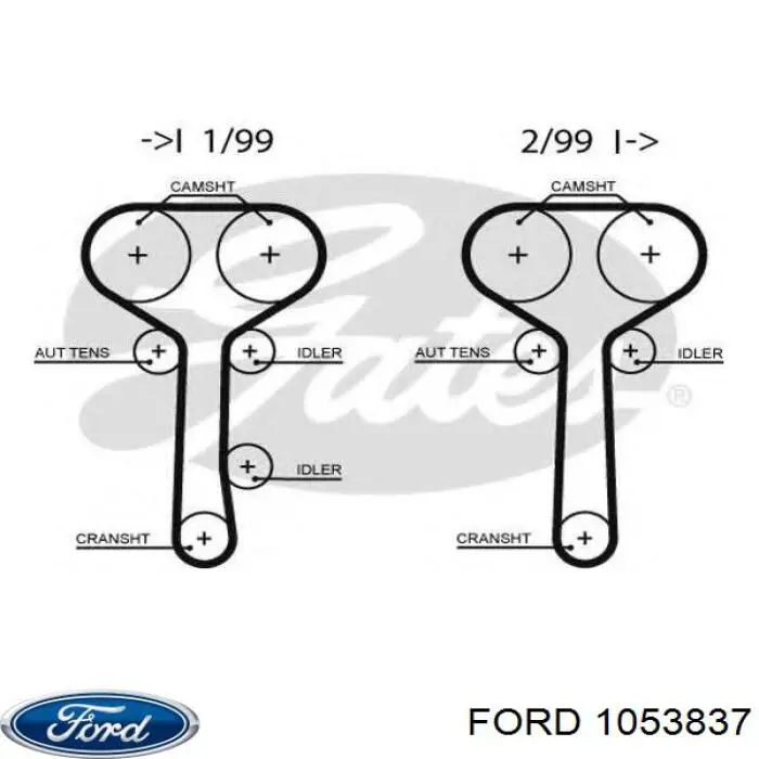 1053837 Ford correa distribución