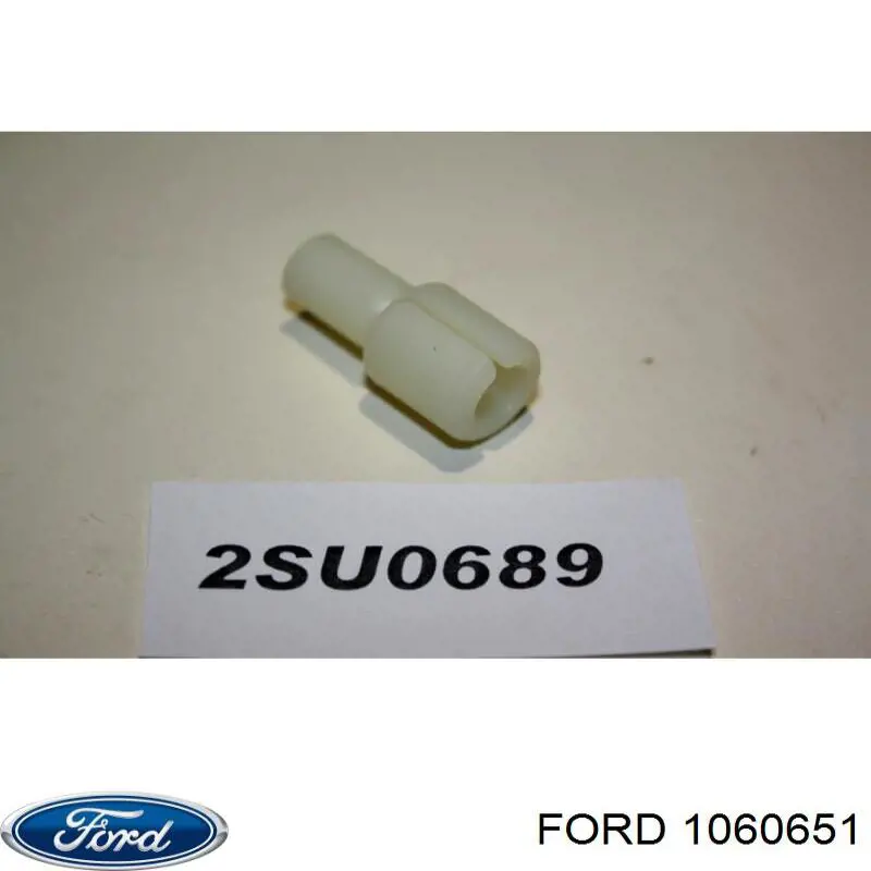 1060651 Ford