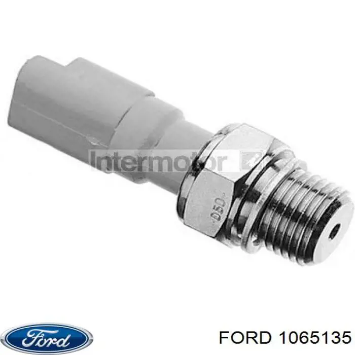 1065135 Ford tensor de cadena de bomba de aceite