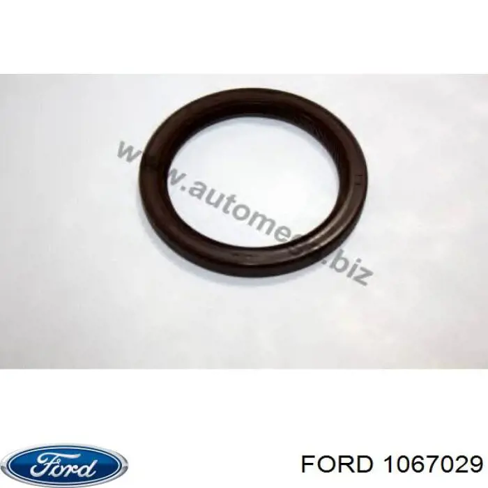 1067029 Ford anillo retén, árbol de levas