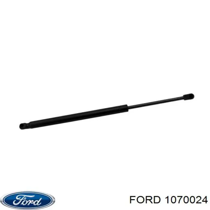 1070024 Ford amortiguador de maletero