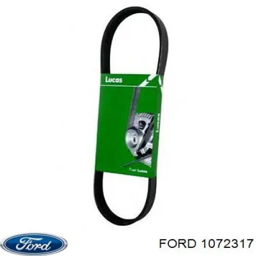 Correa de alternador 1072317 Ford