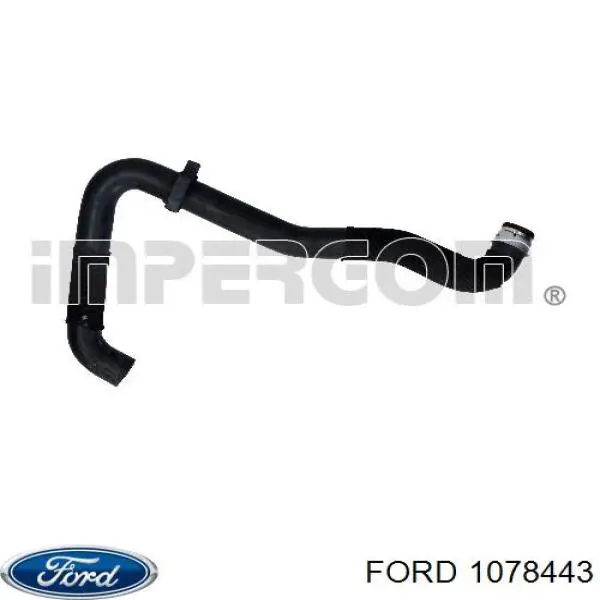 1025292 Ford parrilla