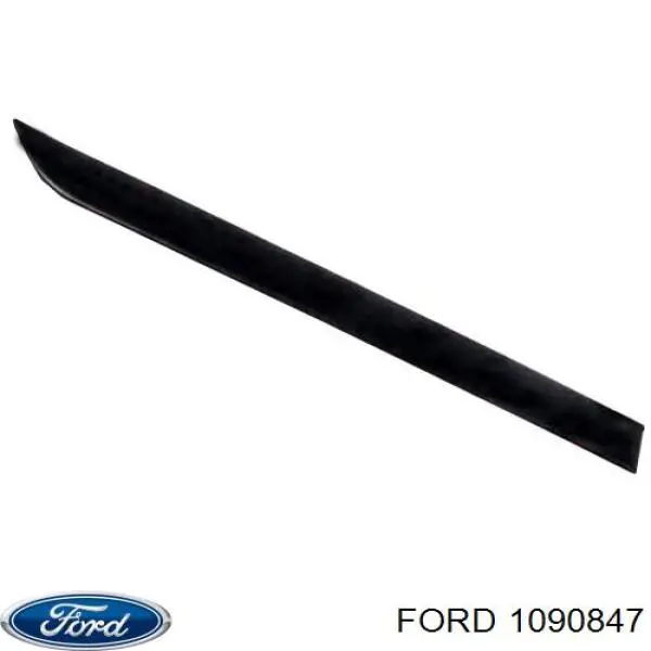 Moldura puerta trasera derecha para Ford Focus (DNW)