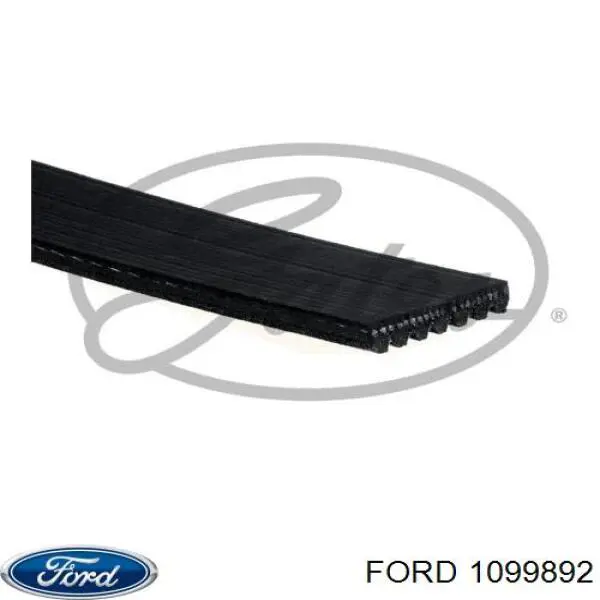 1099892 Ford correa trapezoidal