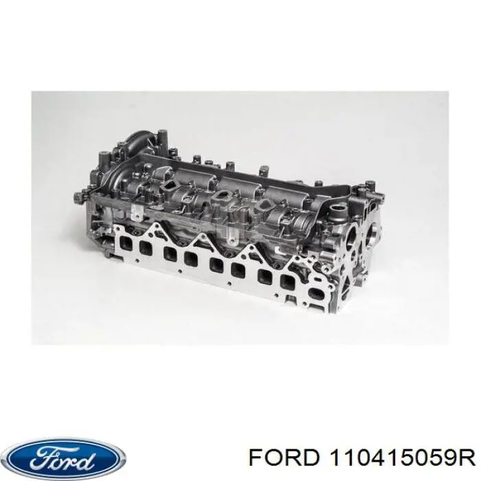 110415059R Ford culata