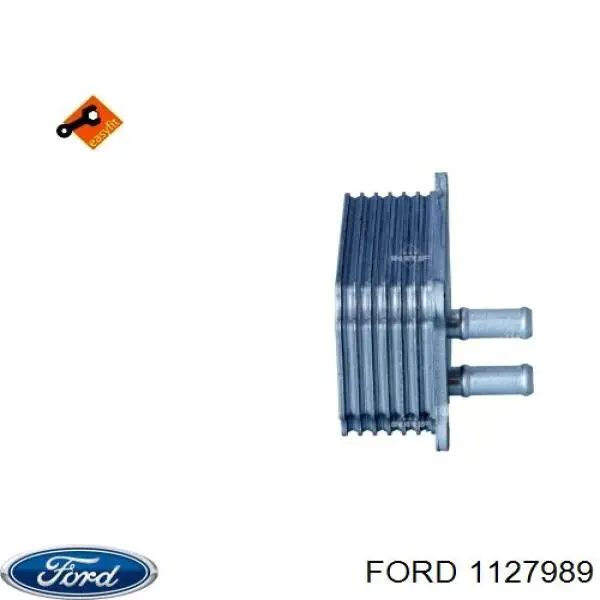 1127989 Ford radiador de aceite, bajo de filtro