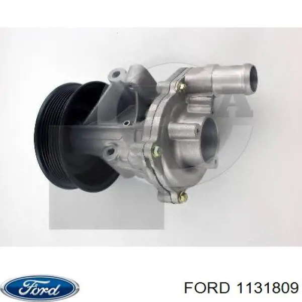 1131809 Ford bomba de agua