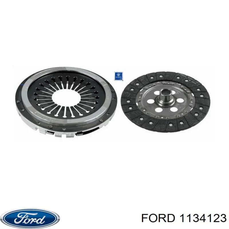 1134123 Ford motor completo