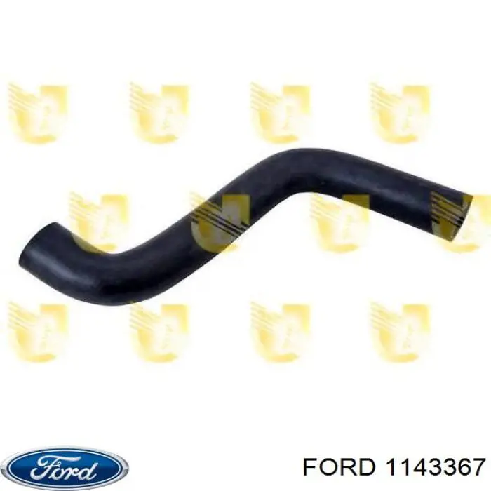 1143367 Ford manguera refrigerante para radiador inferiora