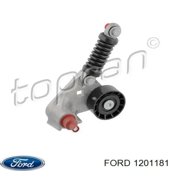 1201181 Ford tensor de correa, correa poli v