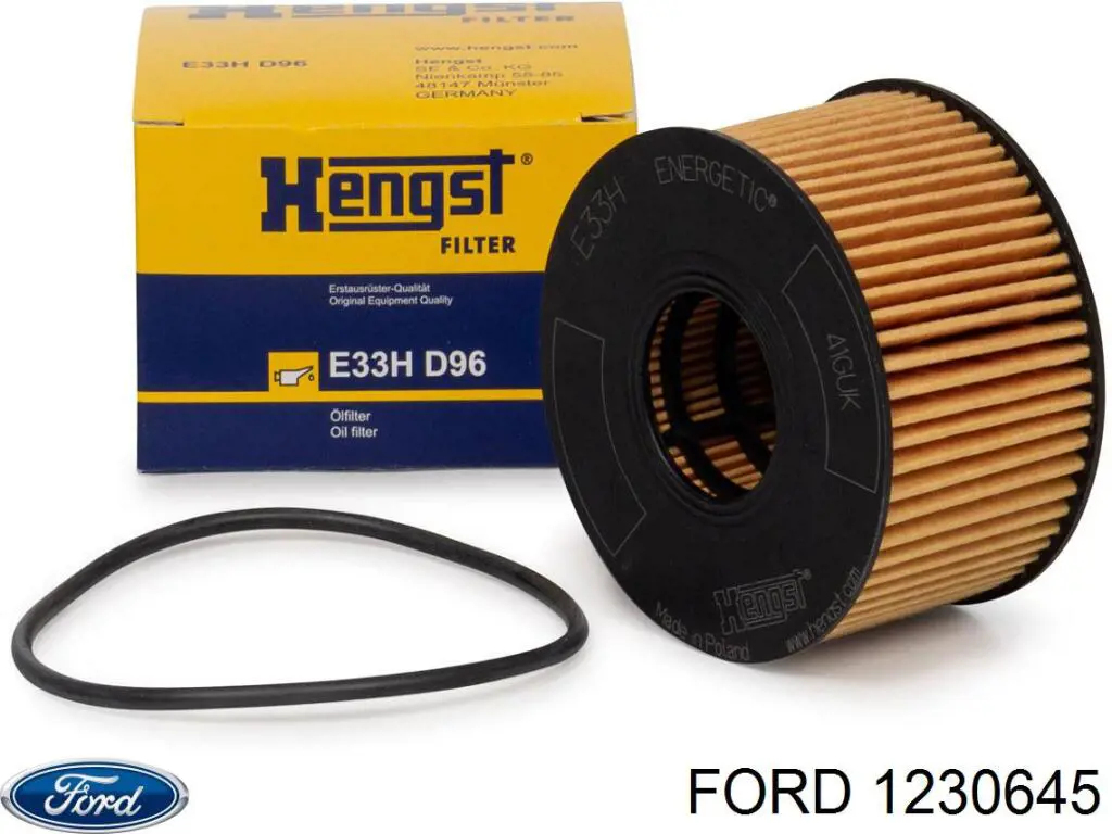 Filtro combustible Jaguar X-type CF1