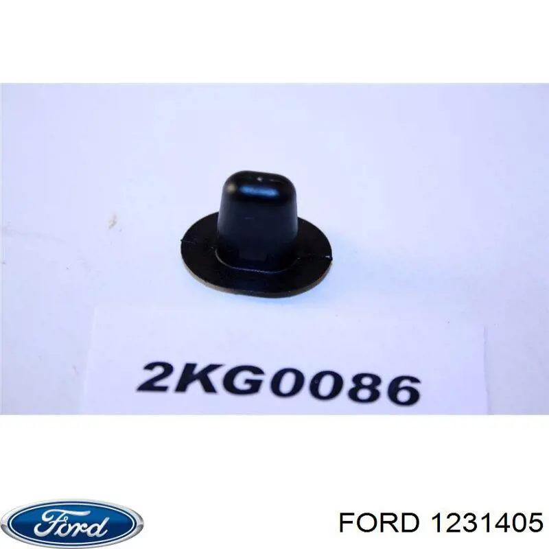 1231405 Ford 