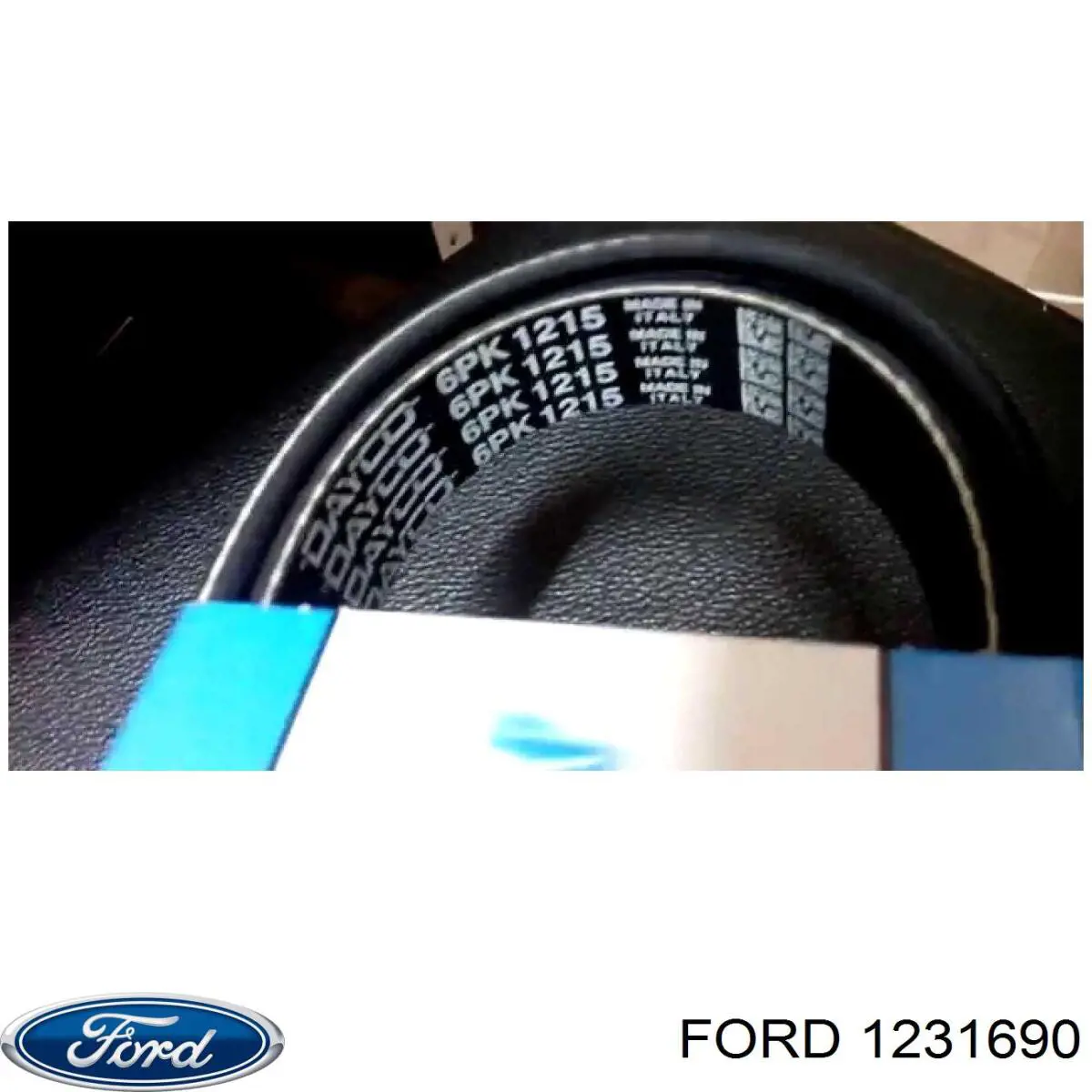 1231690 Ford correa trapezoidal