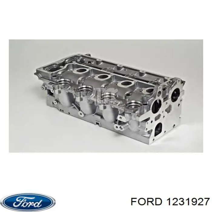 1231927 Ford culata