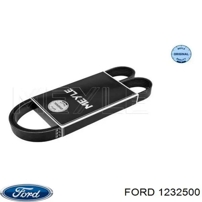 1232500 Ford correa trapezoidal