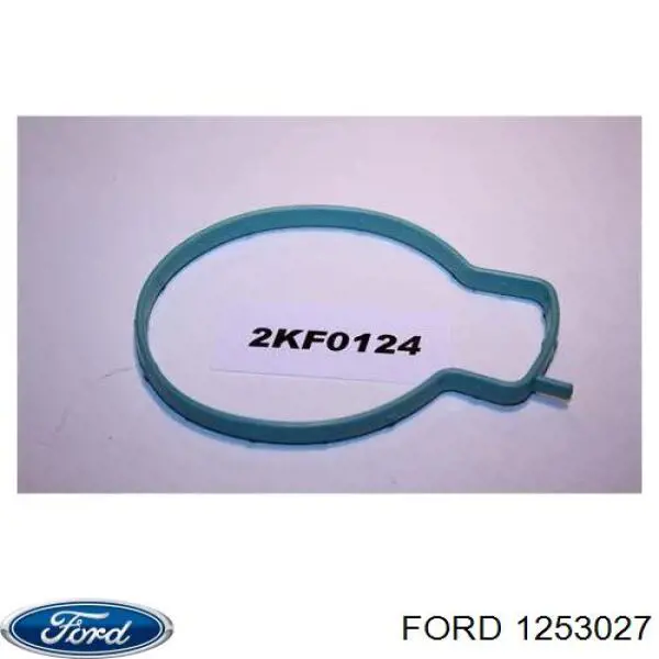 Junta cuerpo mariposa para Ford Focus (DA)