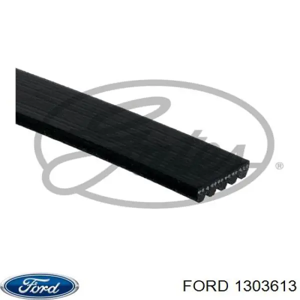 1303613 Ford correa trapezoidal