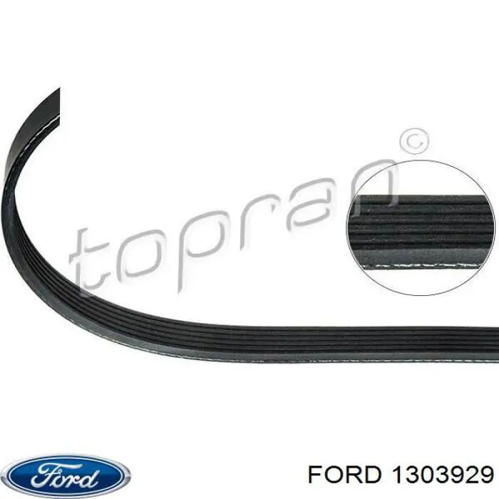 Comprar 1303929 Ford Correa trapezoidal