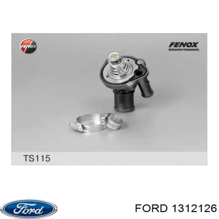 1312126 Ford termostato