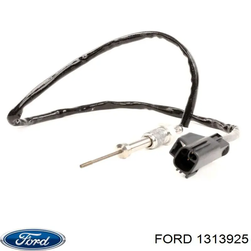 1313925 Ford