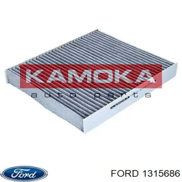 1315686 Ford Filtro antipolen