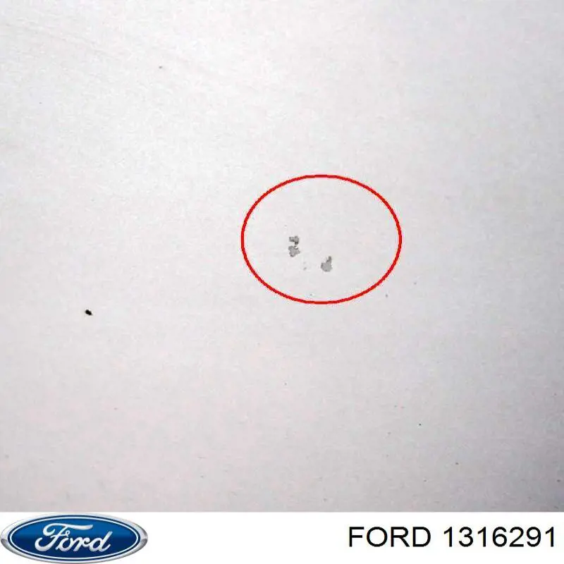1316291 Ford capó