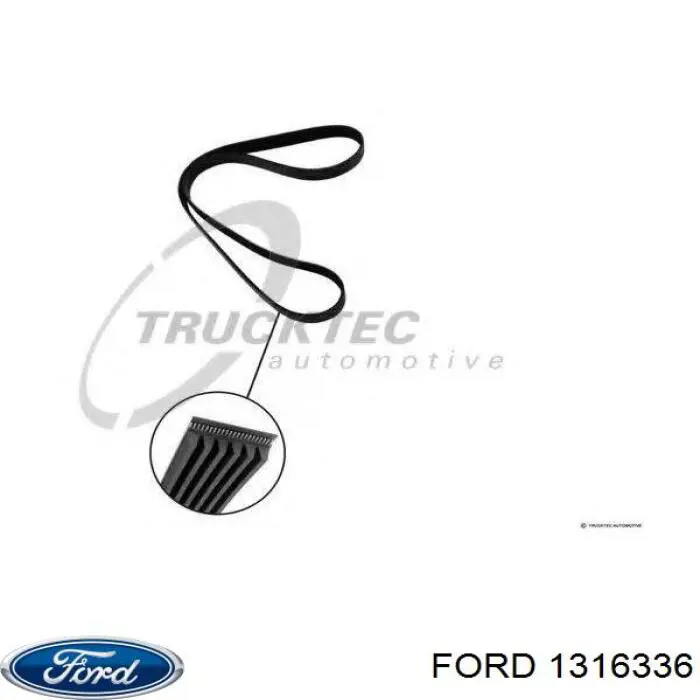 1316336 Ford correa trapezoidal