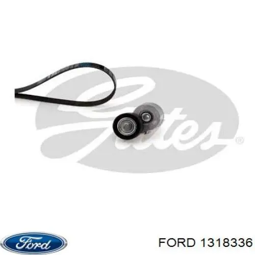 Tensor de la correa trapecial poli v Ford 1318336