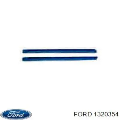 Moldura puerta trasera derecha para Ford Focus (DAW)
