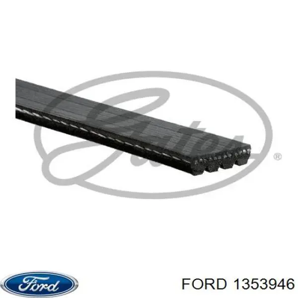 1353946 Ford correa trapezoidal