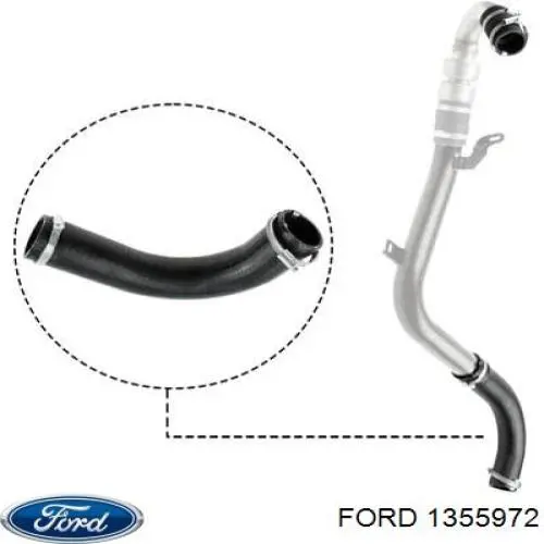 1355972 Ford tubo flexible de aire de sobrealimentación izquierdo