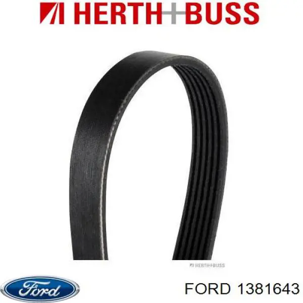 Correa accesorios Ford 1381643