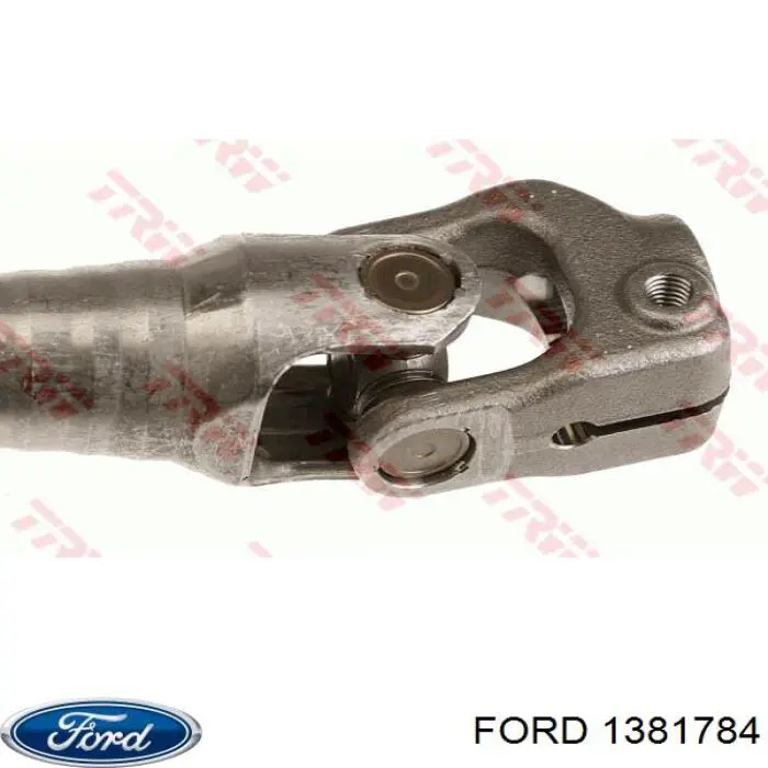 1381784 Ford Calandra