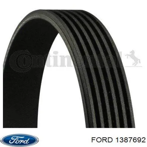 Correa de transmisión trapezoidal Ford 1387692 precio, desde 19,66 EUR