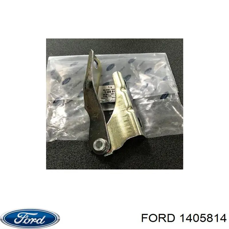 1370623 Ford bisagra, capó del motor izquierda