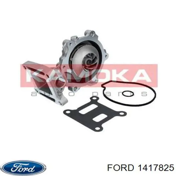 1417825 Ford bomba de agua, completo con caja