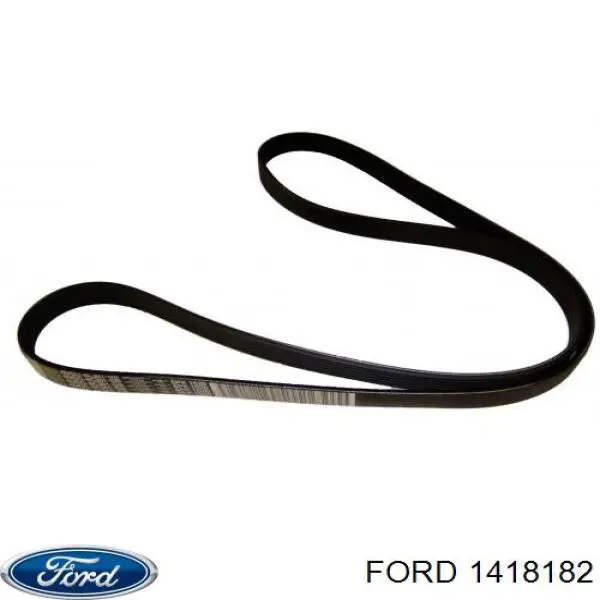 Correa de alternador 1418182 Ford