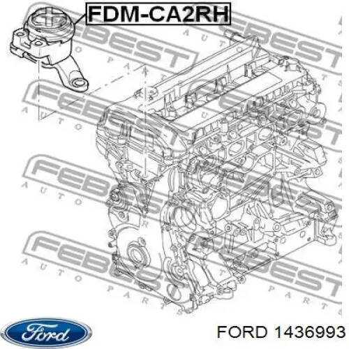 1436993 Ford soporte de motor derecho