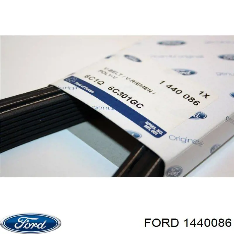 Correa de transmisión trapezoidal Ford 1440086 precio, desde 31,34 EUR