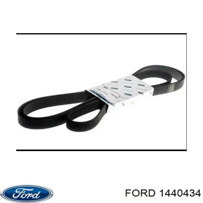 Correa de alternador 1440434 Ford