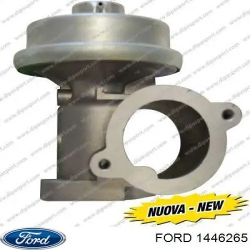 Comprar EG1041212B1 Delphi Válvula EGR